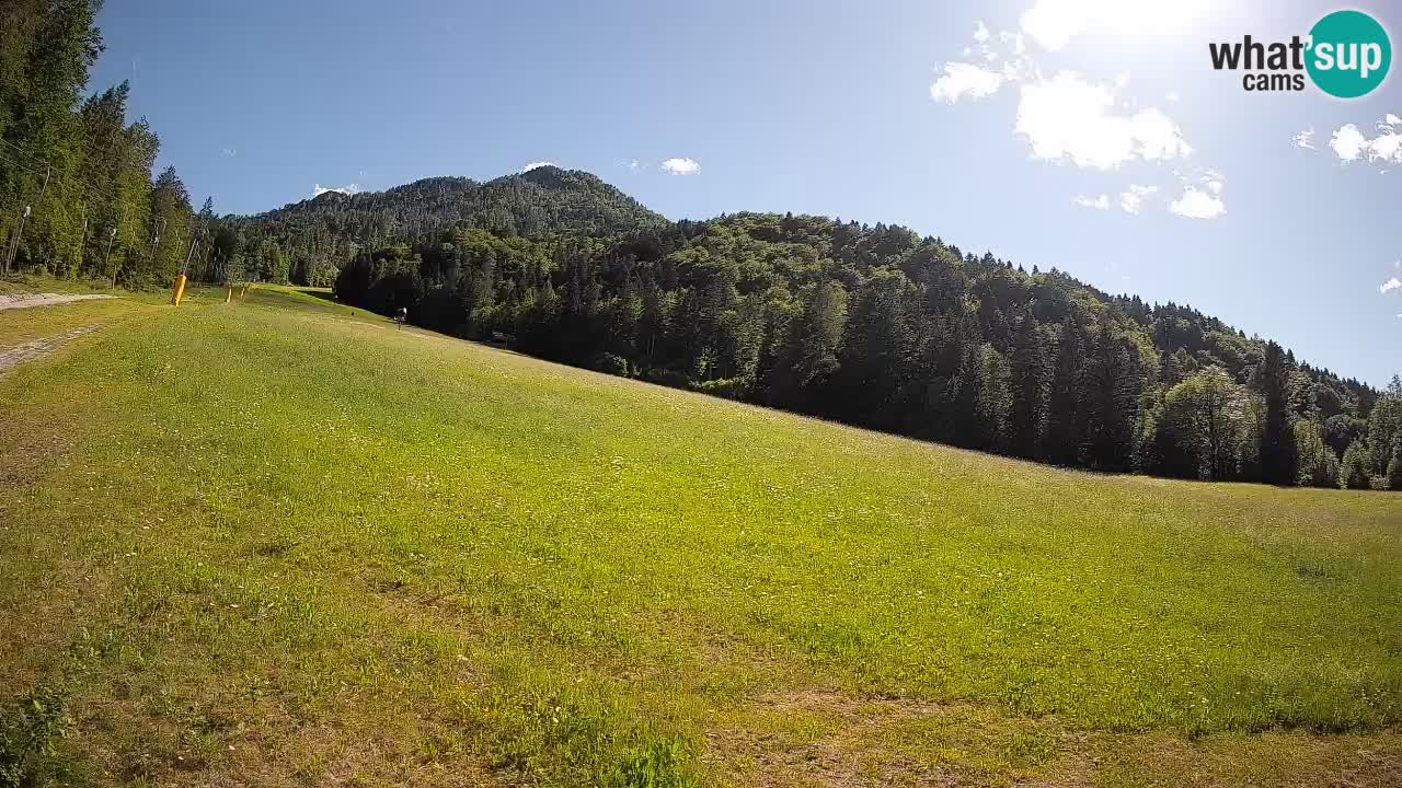 RTC Skigebiet Kranjska Gora | Brsnina