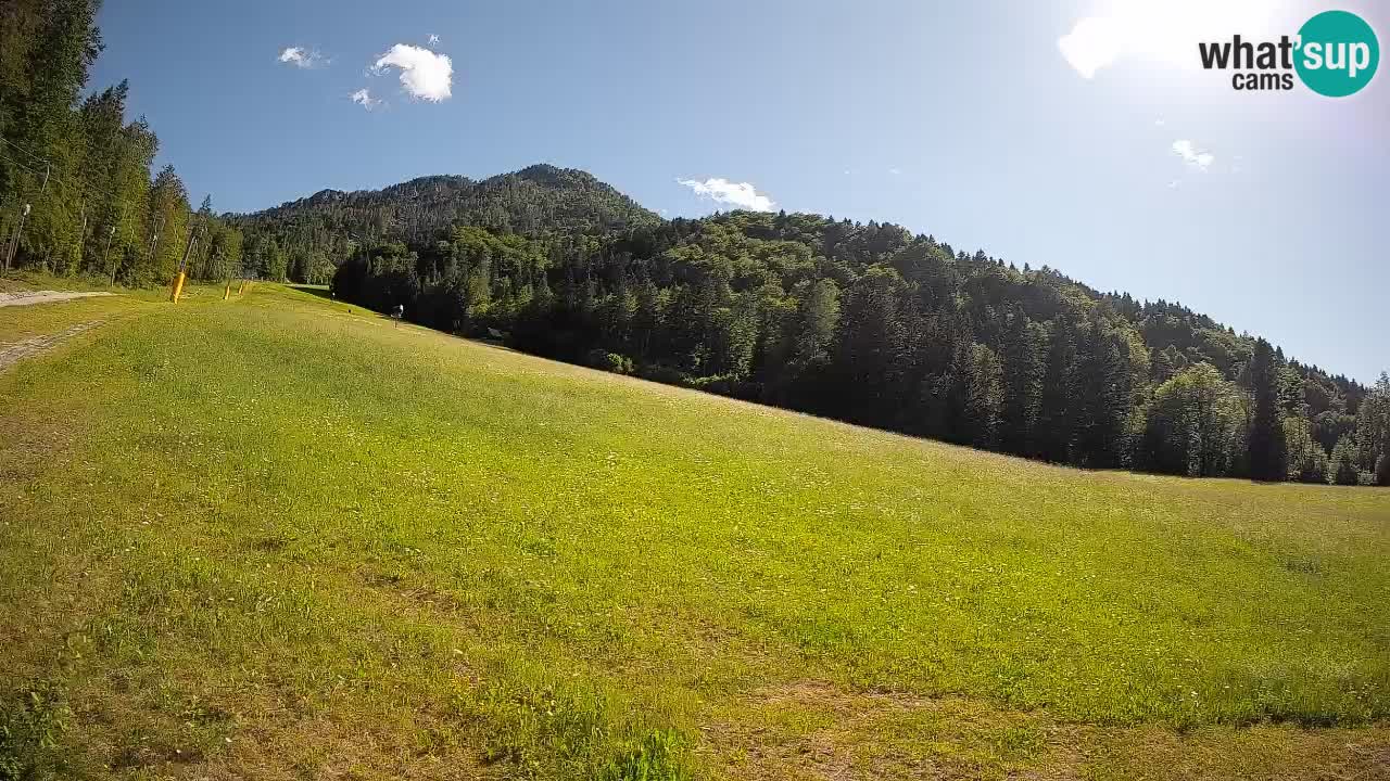 Esquí Kranjska Gora | Brsnina