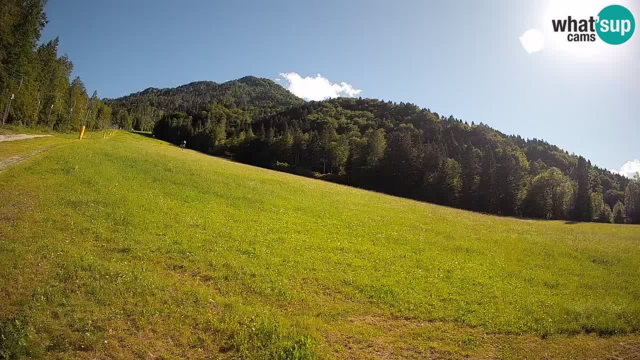 Esquí Kranjska Gora | Brsnina
