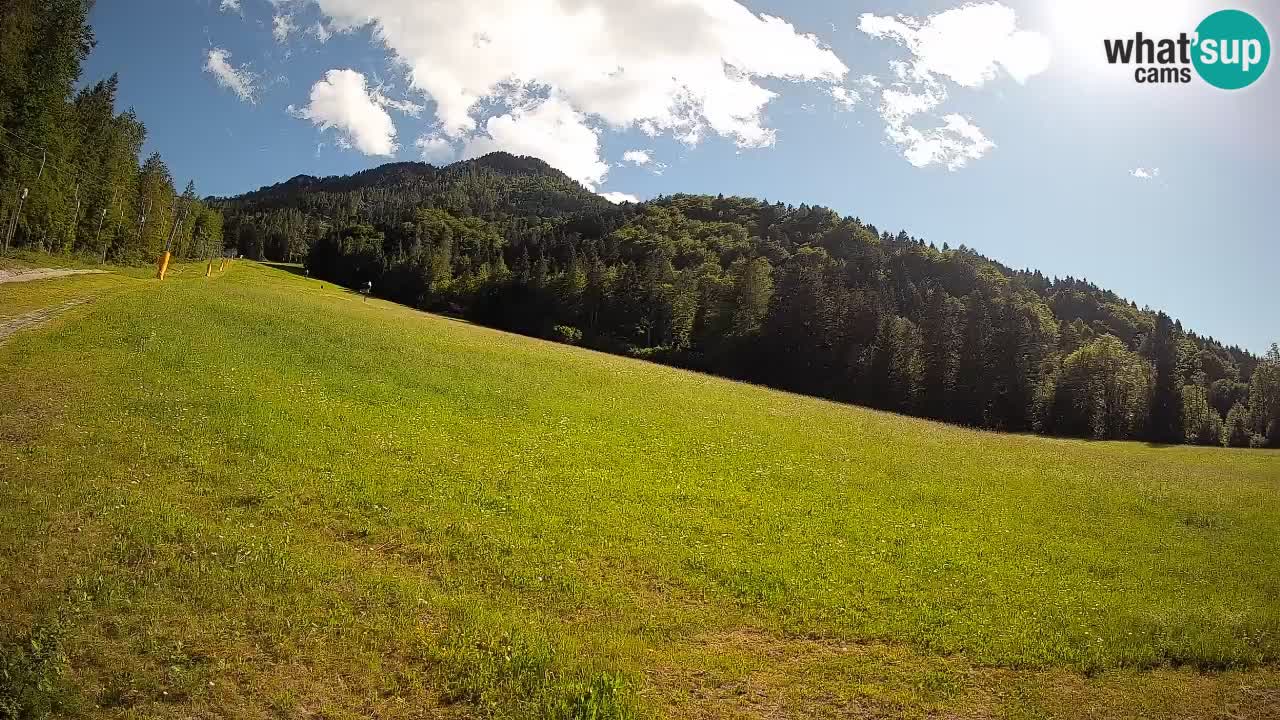 Comprensorio sciistico Kranjska Gora | Brsnina