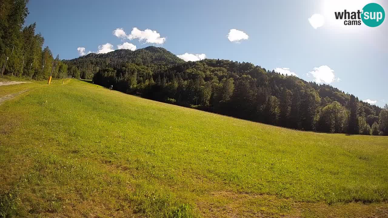 RTC Skigebiet Kranjska Gora | Brsnina