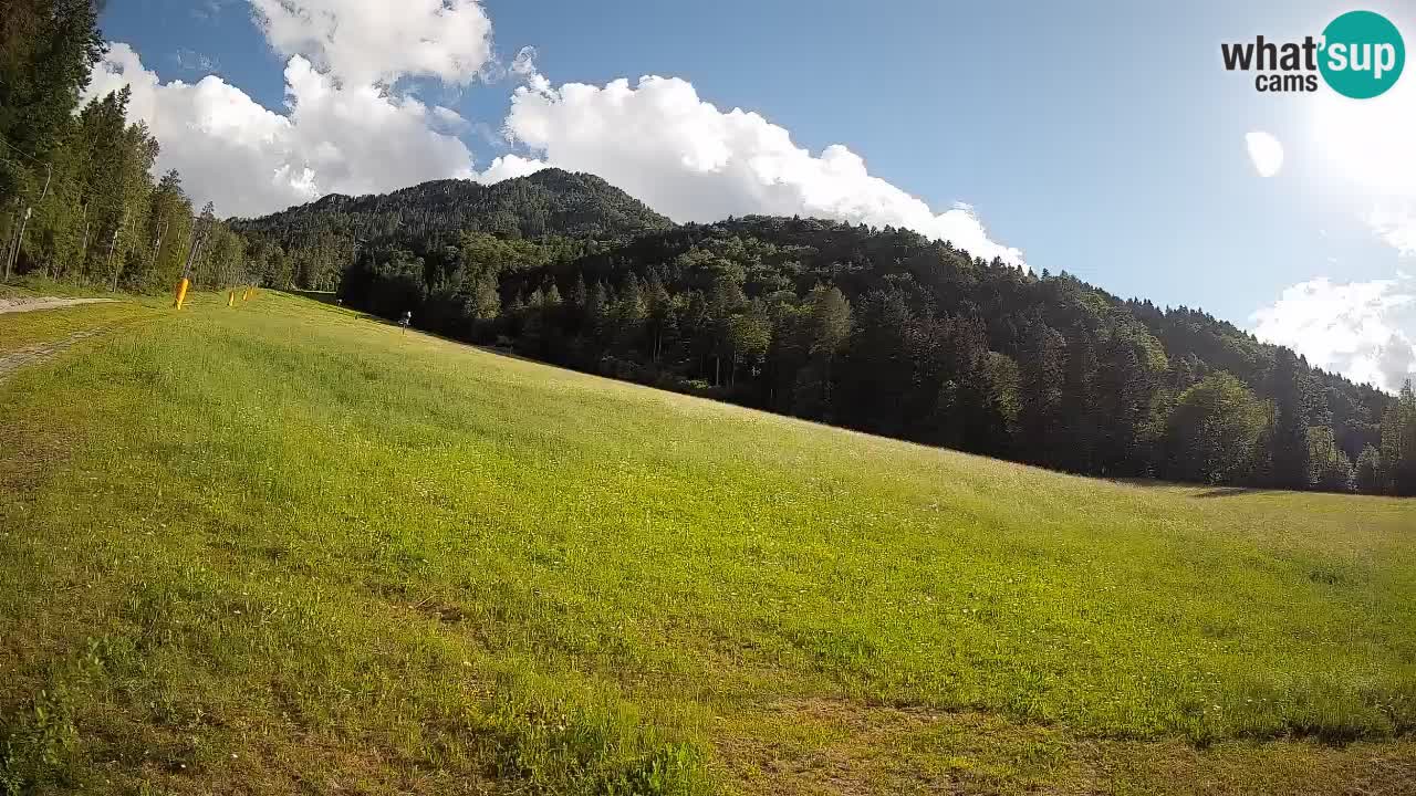 RTC Kranjska Gora | Brsnina