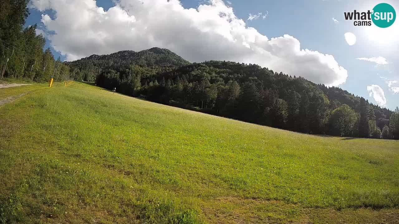 Esquí Kranjska Gora | Brsnina