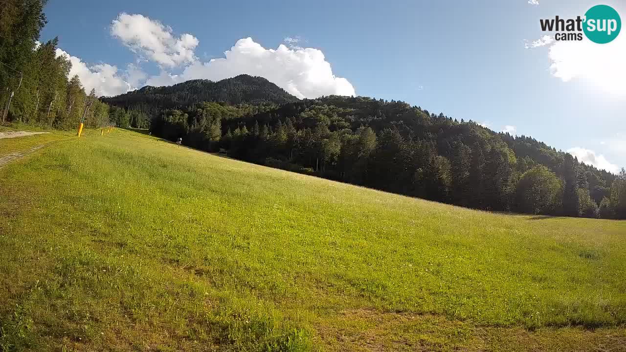 Comprensorio sciistico Kranjska Gora | Brsnina