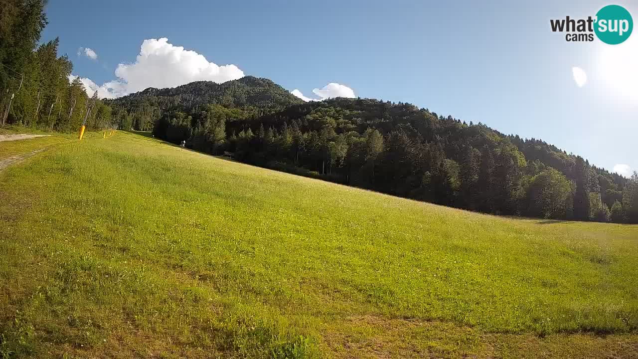 Ski Kranjska Gora | Brsnina