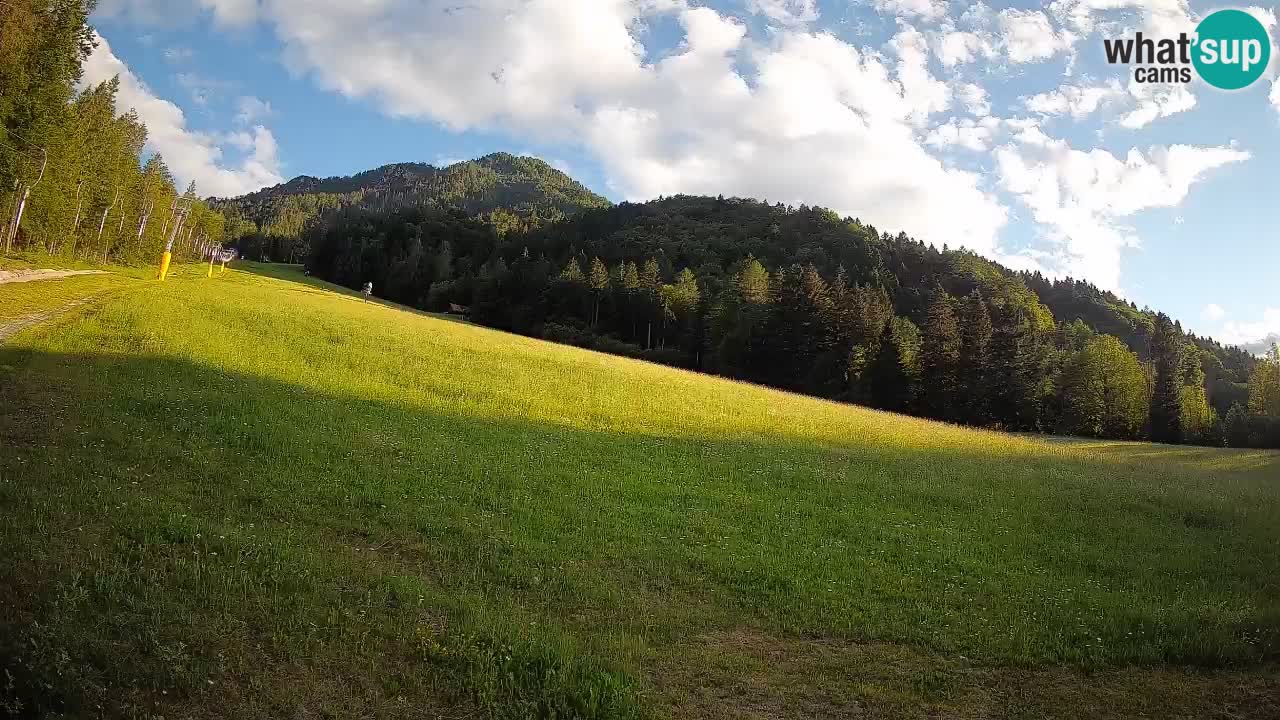 Ski Kranjska Gora | Brsnina