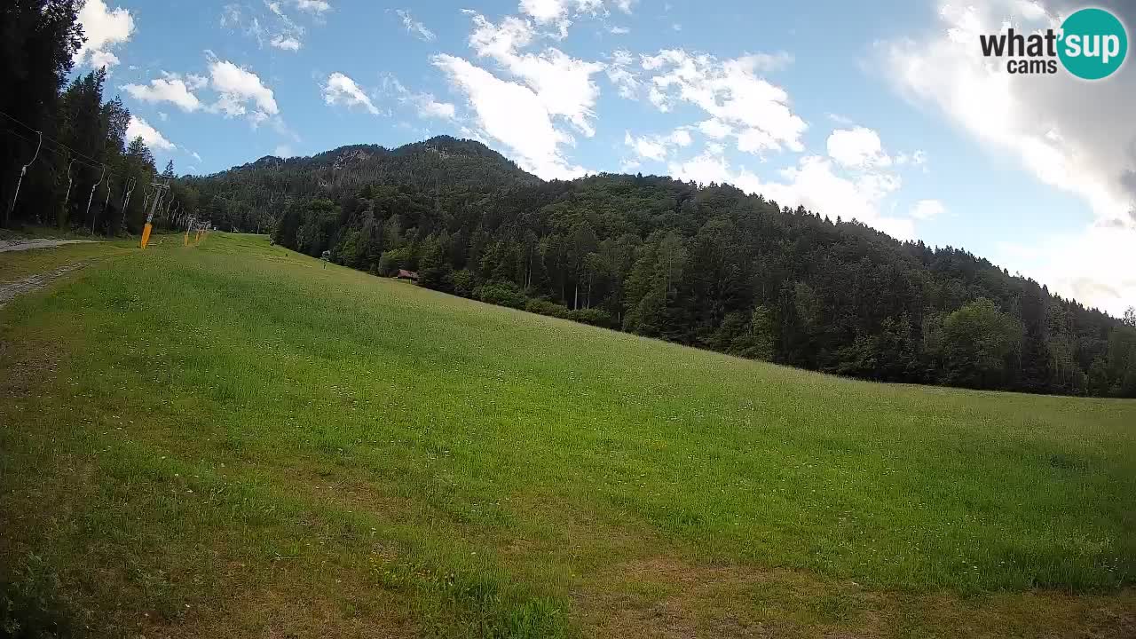 Ski Kranjska Gora | Brsnina