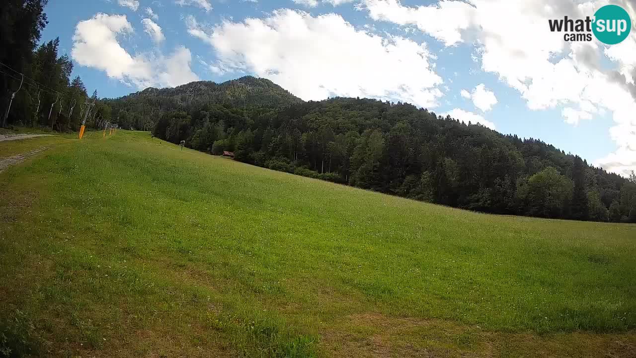 RTC Kranjska Gora | Brsnina