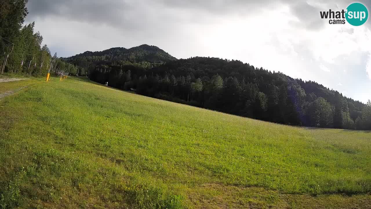 Comprensorio sciistico Kranjska Gora | Brsnina