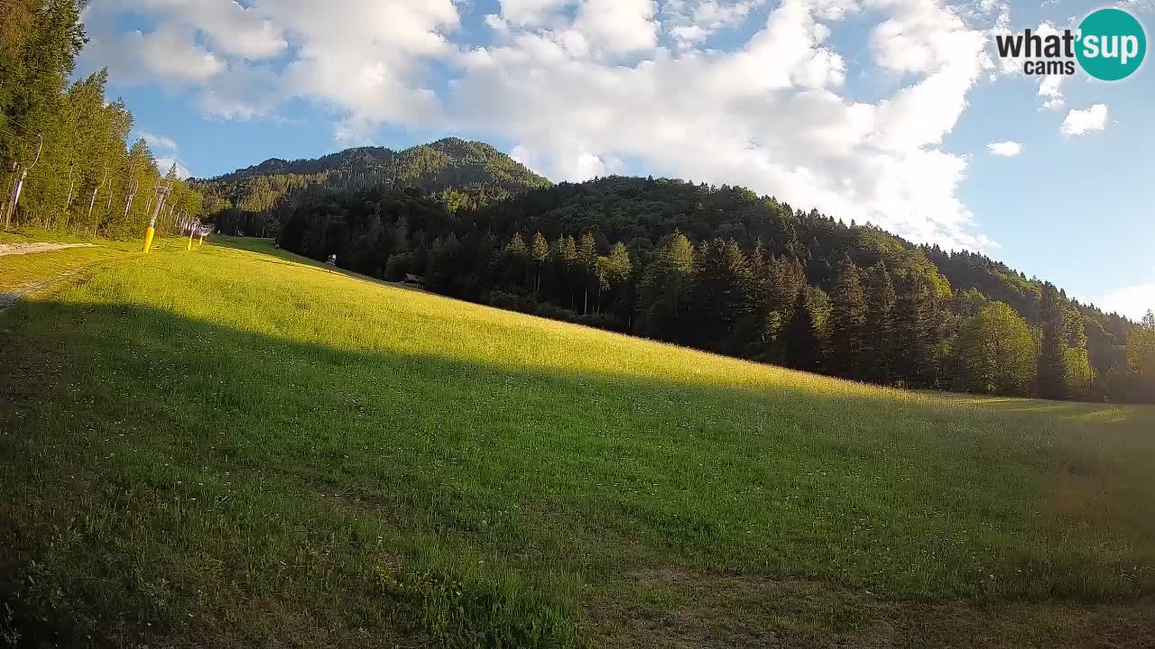 RTC Skigebiet Kranjska Gora | Brsnina
