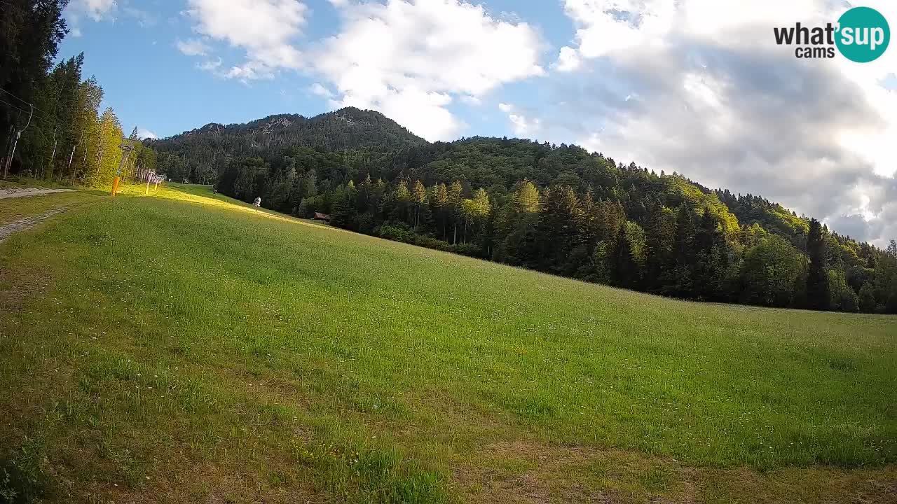 RTC Skigebiet Kranjska Gora | Brsnina