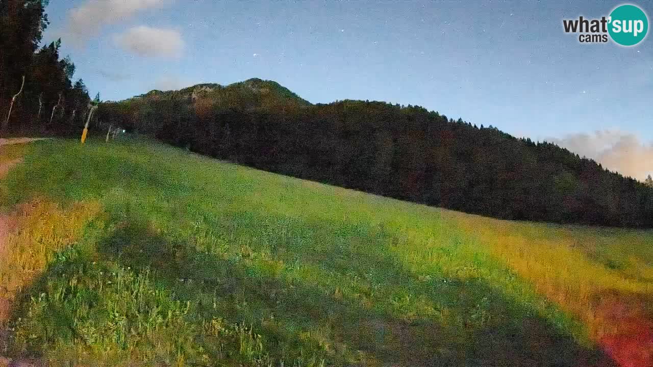 Ski Kranjska Gora | Brsnina