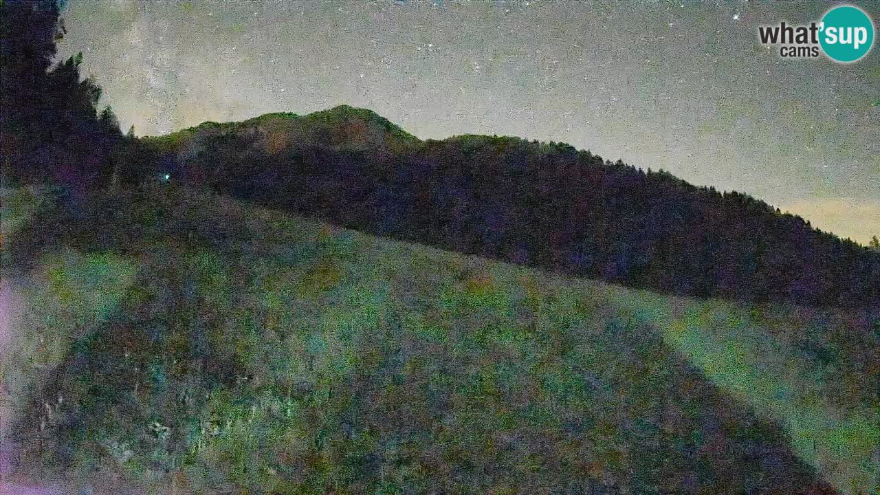 Ski Kranjska Gora | Brsnina