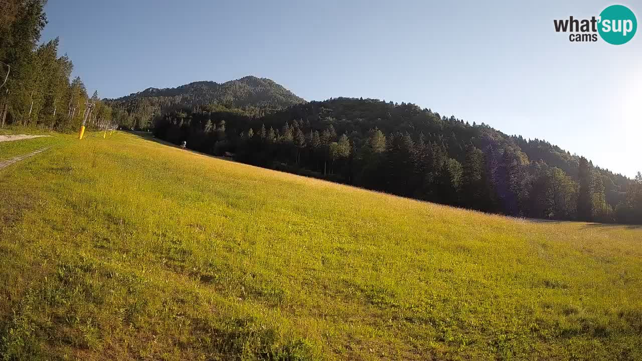 Kranjska Gora SKIJANJE | Brsnina