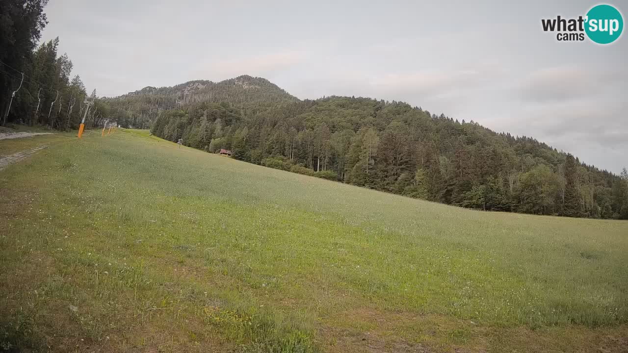 Ski Kranjska Gora | Brsnina