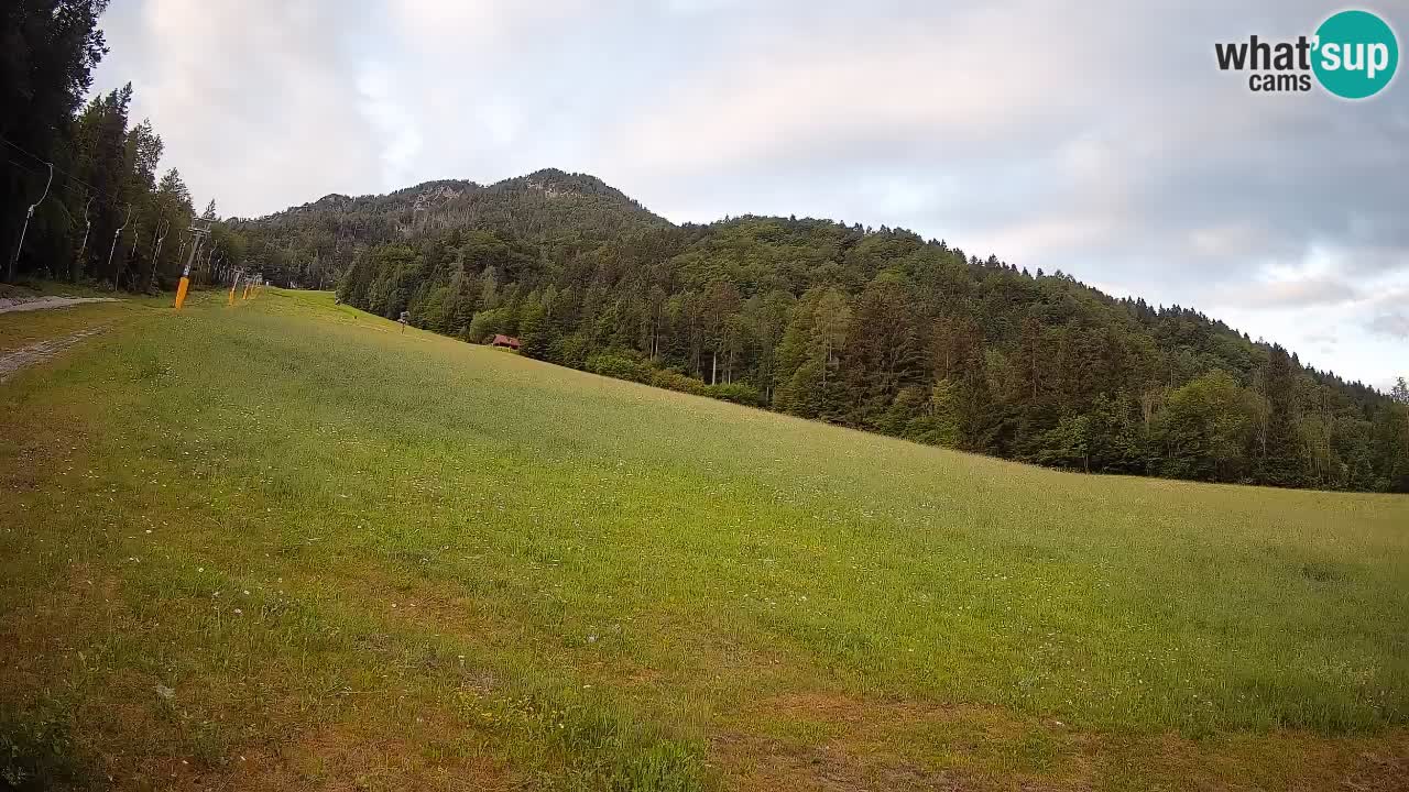 RTC Kranjska Gora | Brsnina