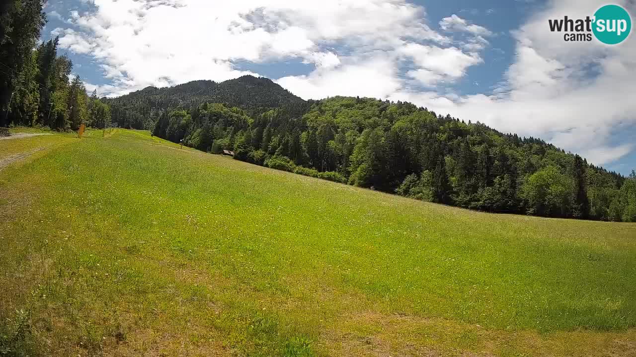 Ski Kranjska Gora | Brsnina