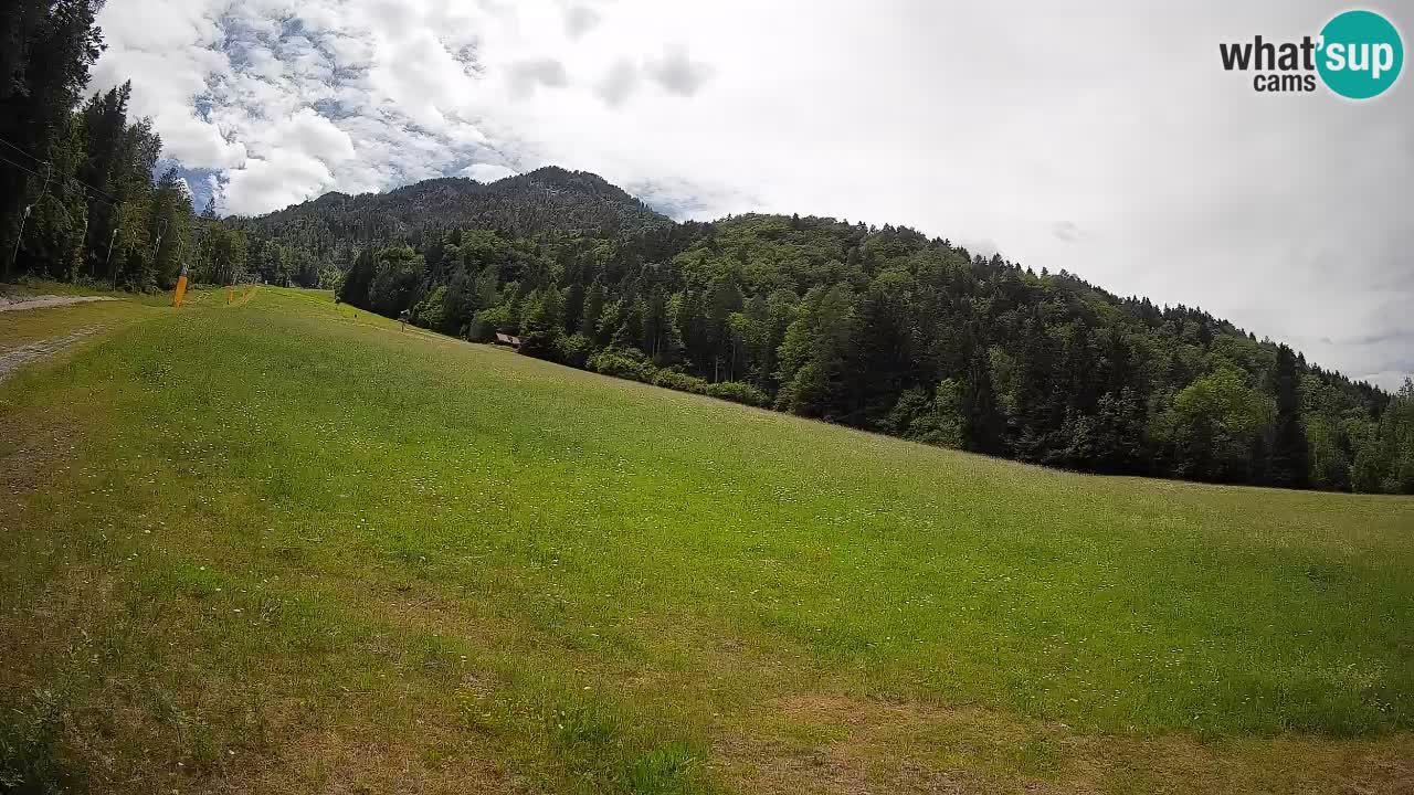 Esquí Kranjska Gora | Brsnina