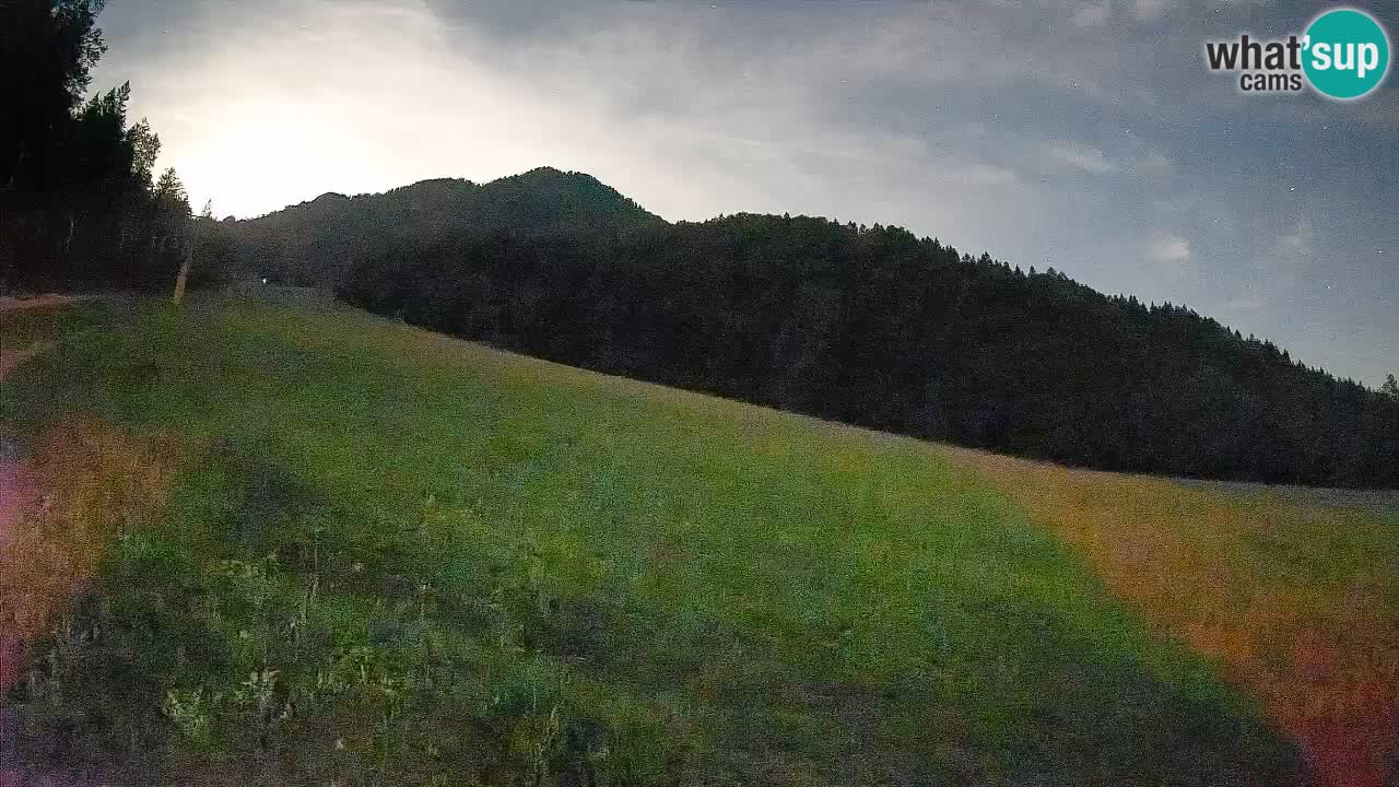 RTC Skigebiet Kranjska Gora | Brsnina