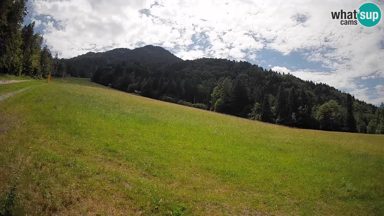 RTC Skigebiet Kranjska Gora | Brsnina