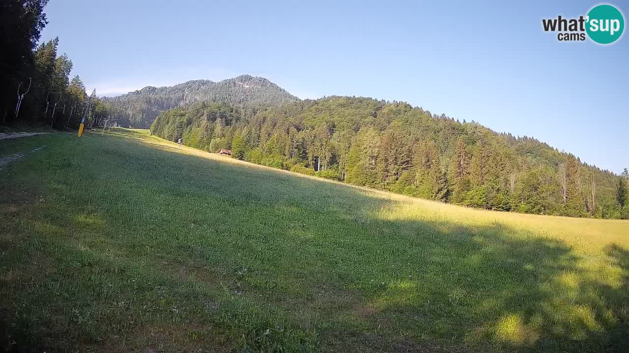 Esquí Kranjska Gora | Brsnina