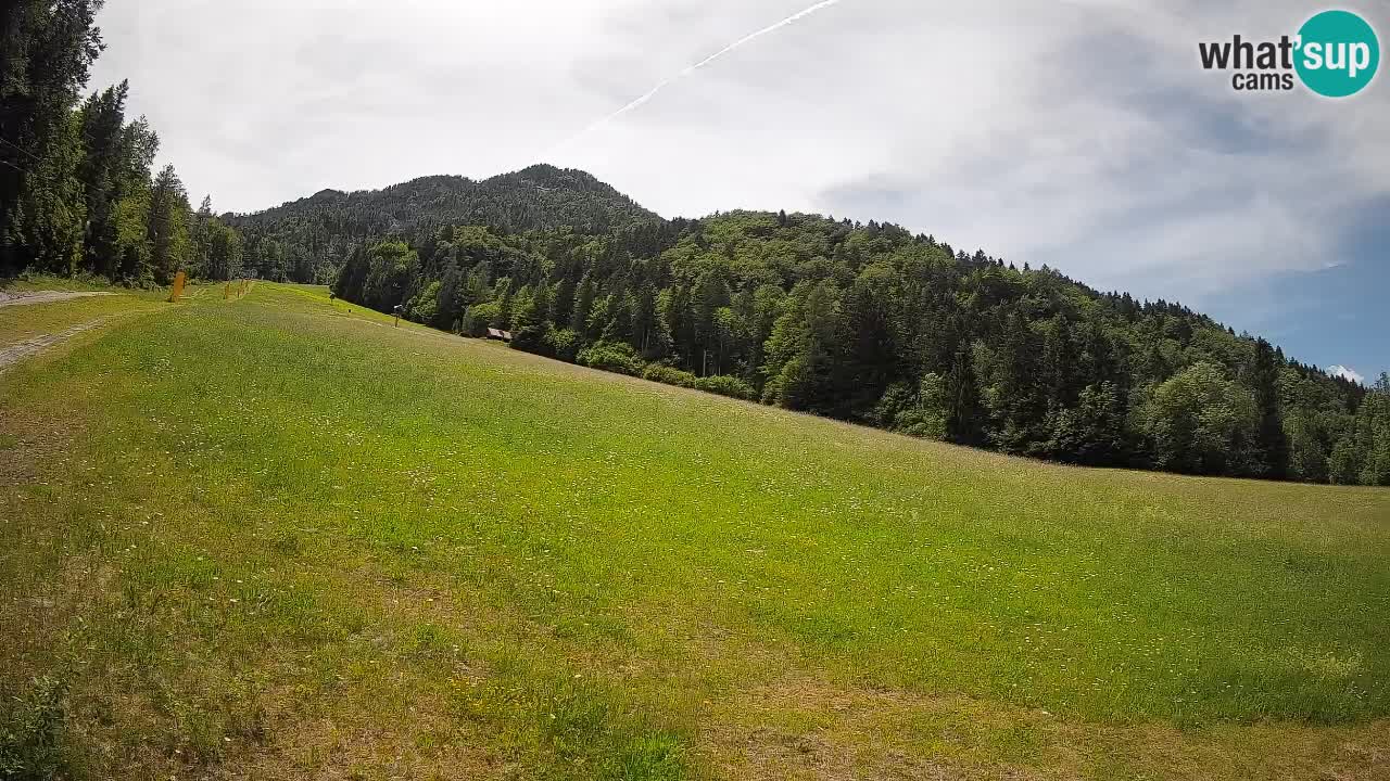 Esquí Kranjska Gora | Brsnina