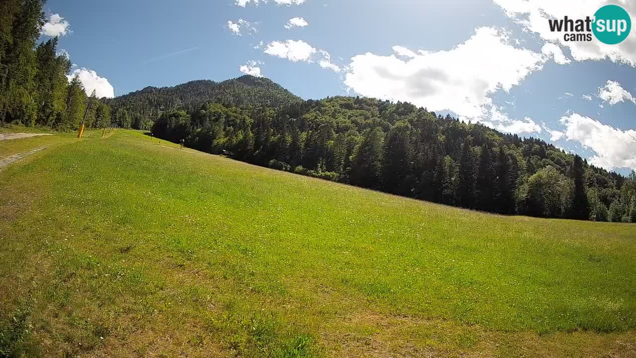 Comprensorio sciistico Kranjska Gora | Brsnina