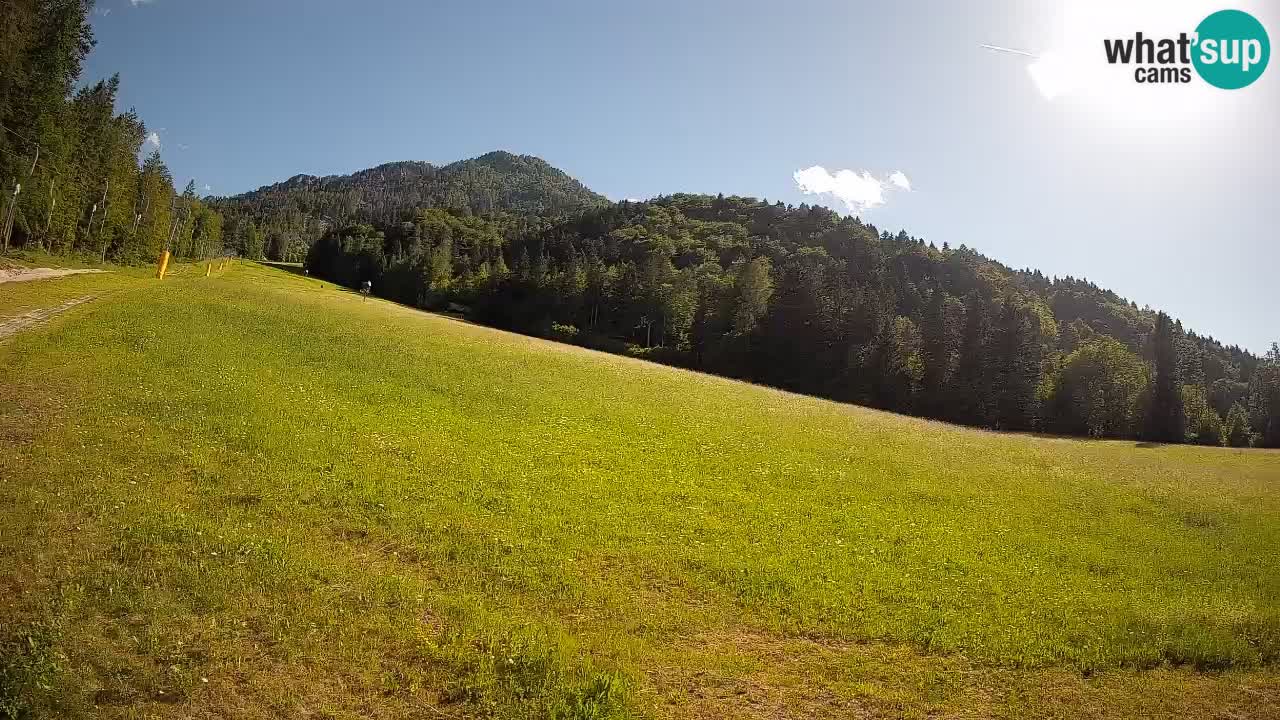 Comprensorio sciistico Kranjska Gora | Brsnina