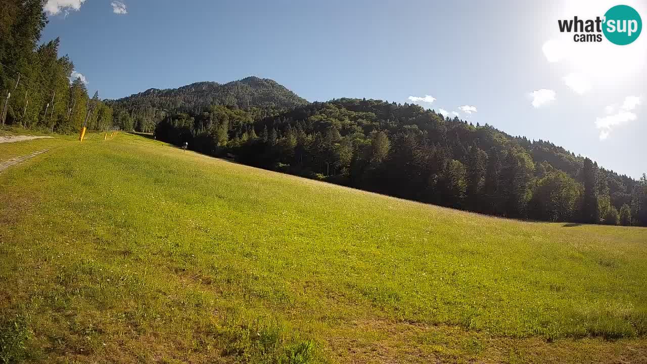 RTC Kranjska Gora | Brsnina