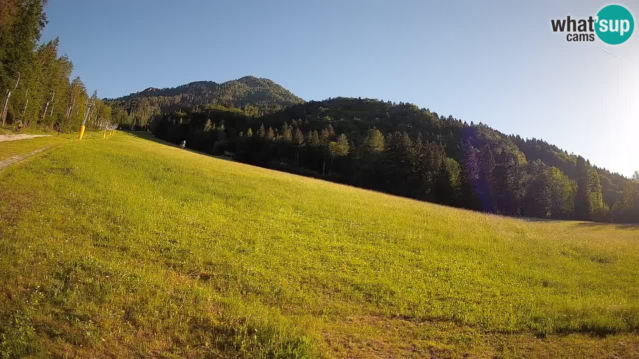 Kranjska Gora SKIJANJE | Brsnina