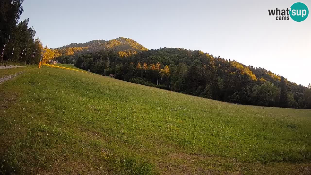 Kranjska Gora Station de ski | Brsnina