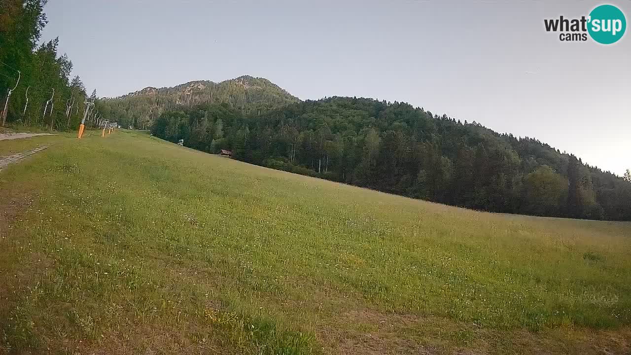 Kranjska Gora Station de ski | Brsnina