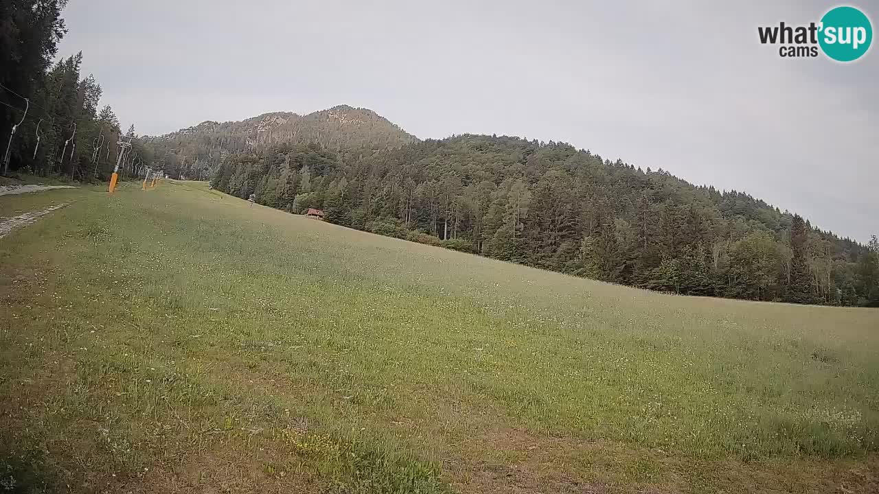 Comprensorio sciistico Kranjska Gora | Brsnina