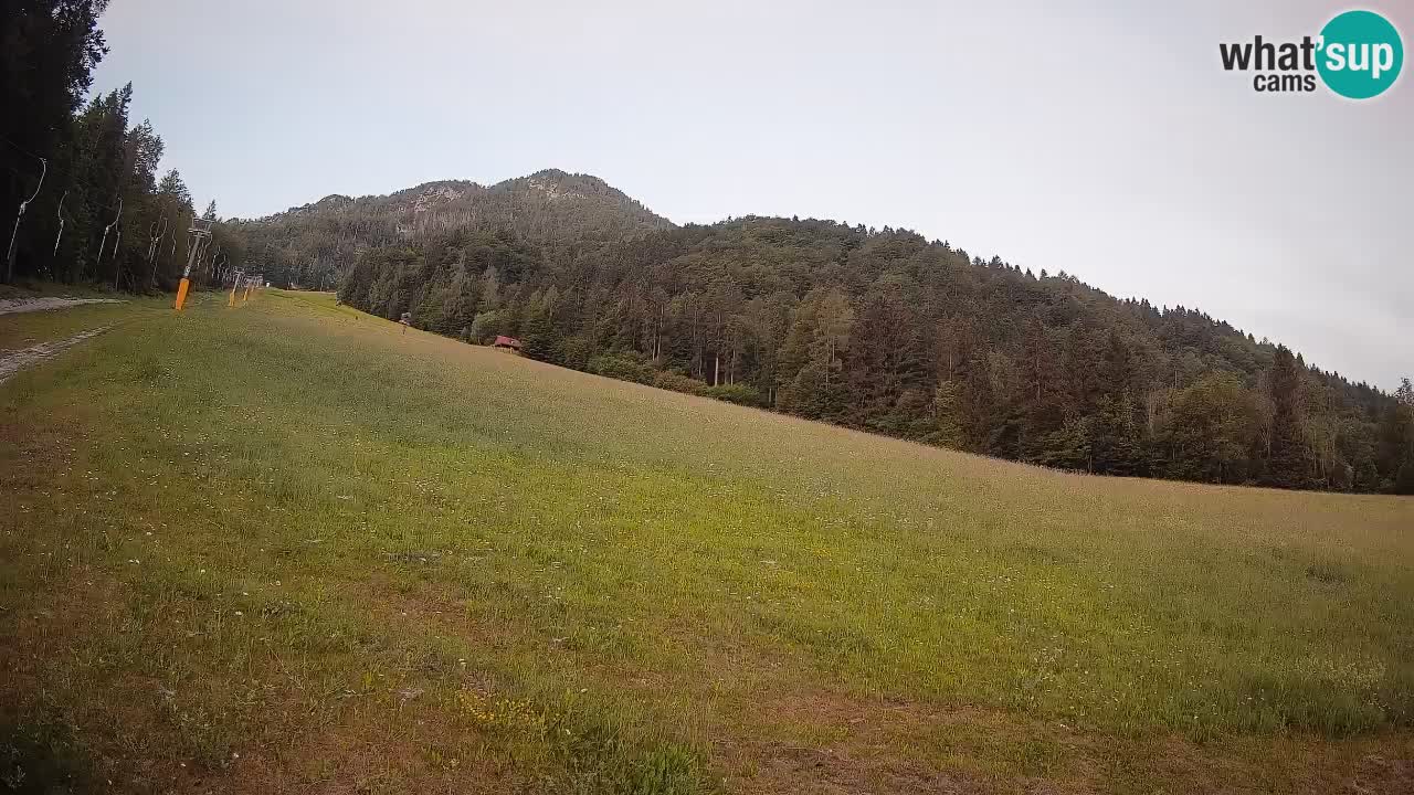 RTC Skigebiet Kranjska Gora | Brsnina