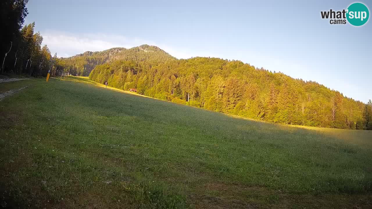 RTC Kranjska Gora | Brsnina