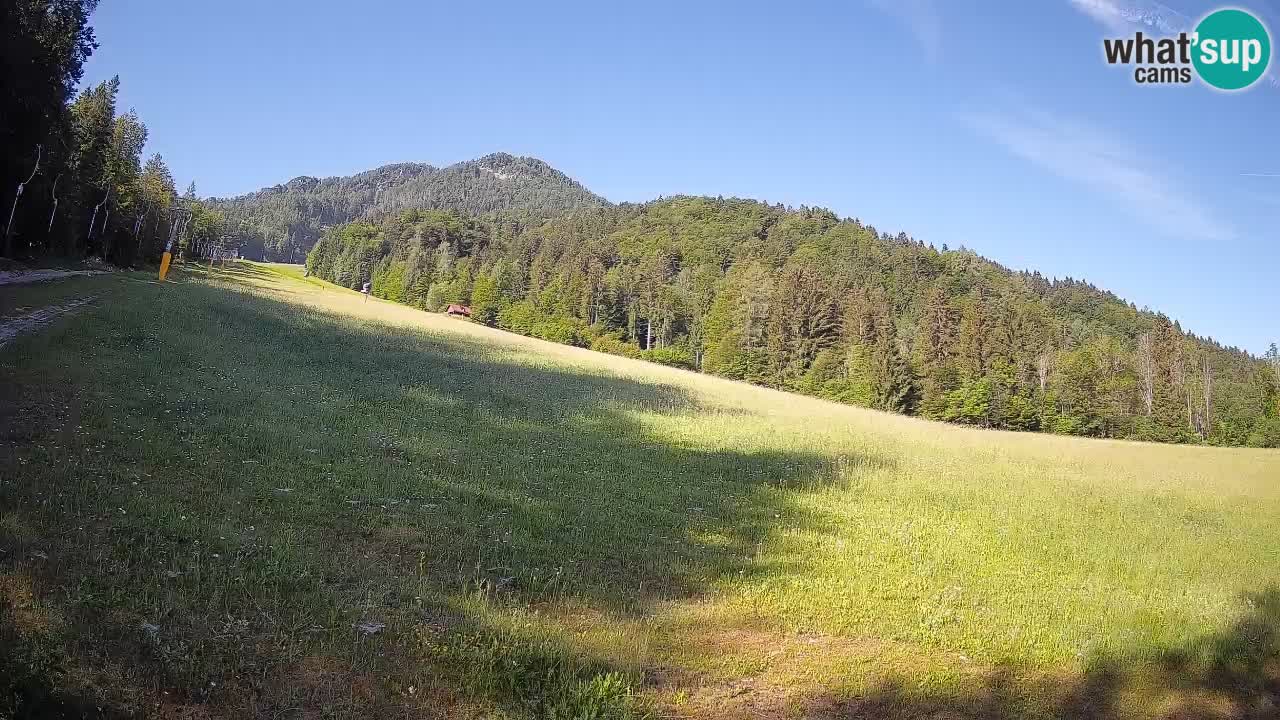 Kranjska Gora Station de ski | Brsnina