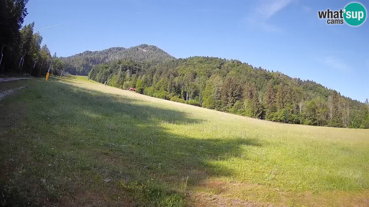 RTC Kranjska Gora | Brsnina