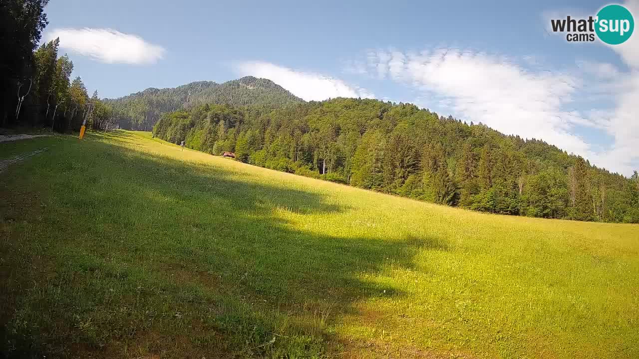 Kranjska Gora Station de ski | Brsnina