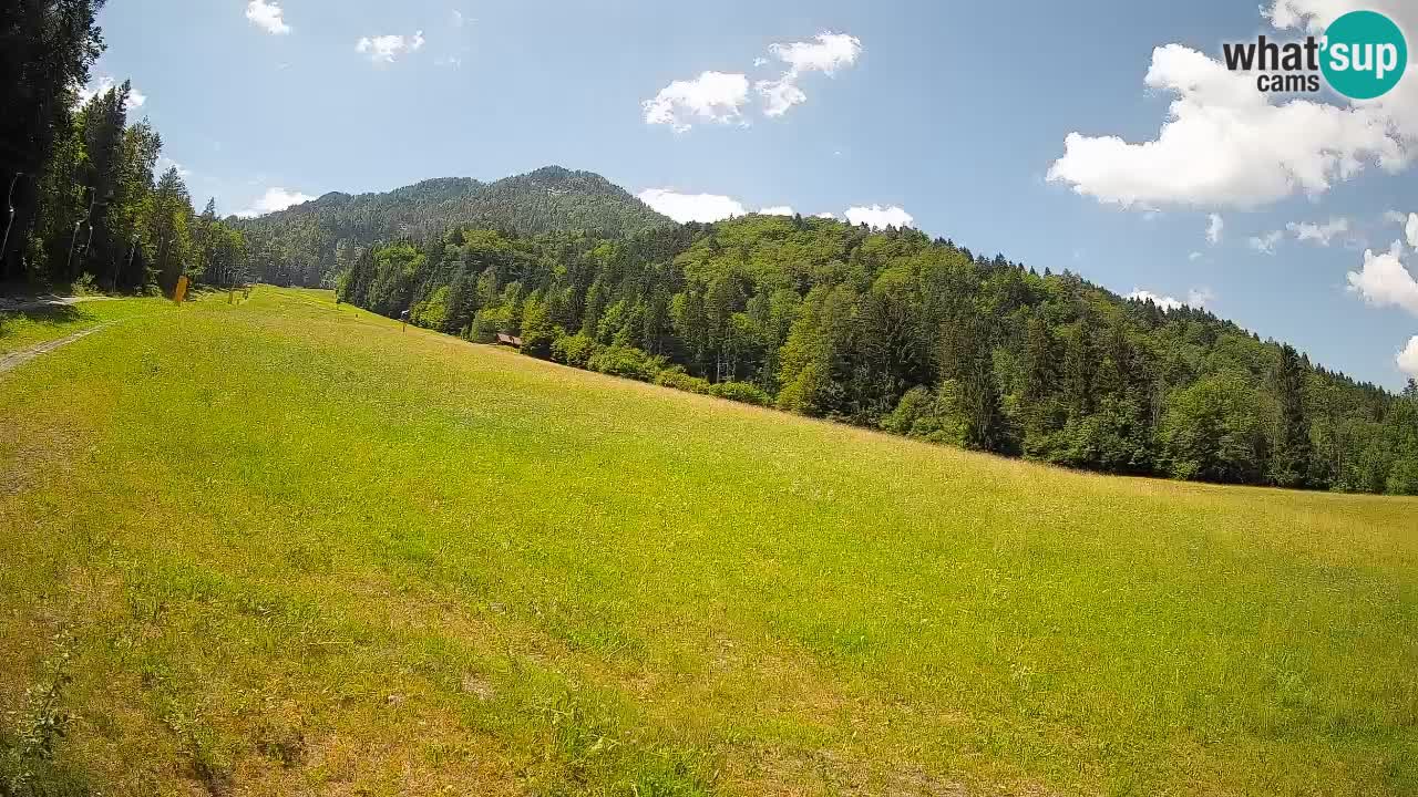 Esquí Kranjska Gora | Brsnina