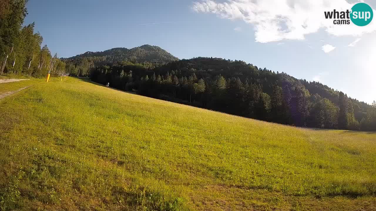 Ski Kranjska Gora | Brsnina