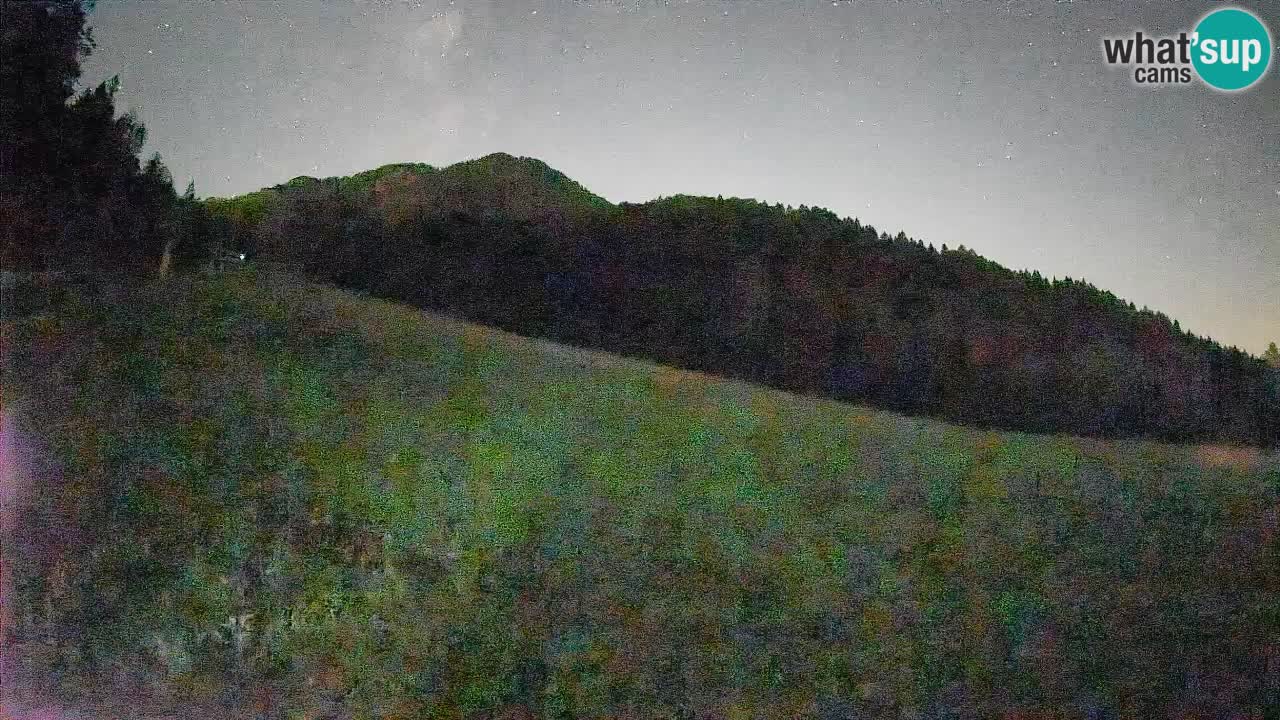 Esquí Kranjska Gora | Brsnina
