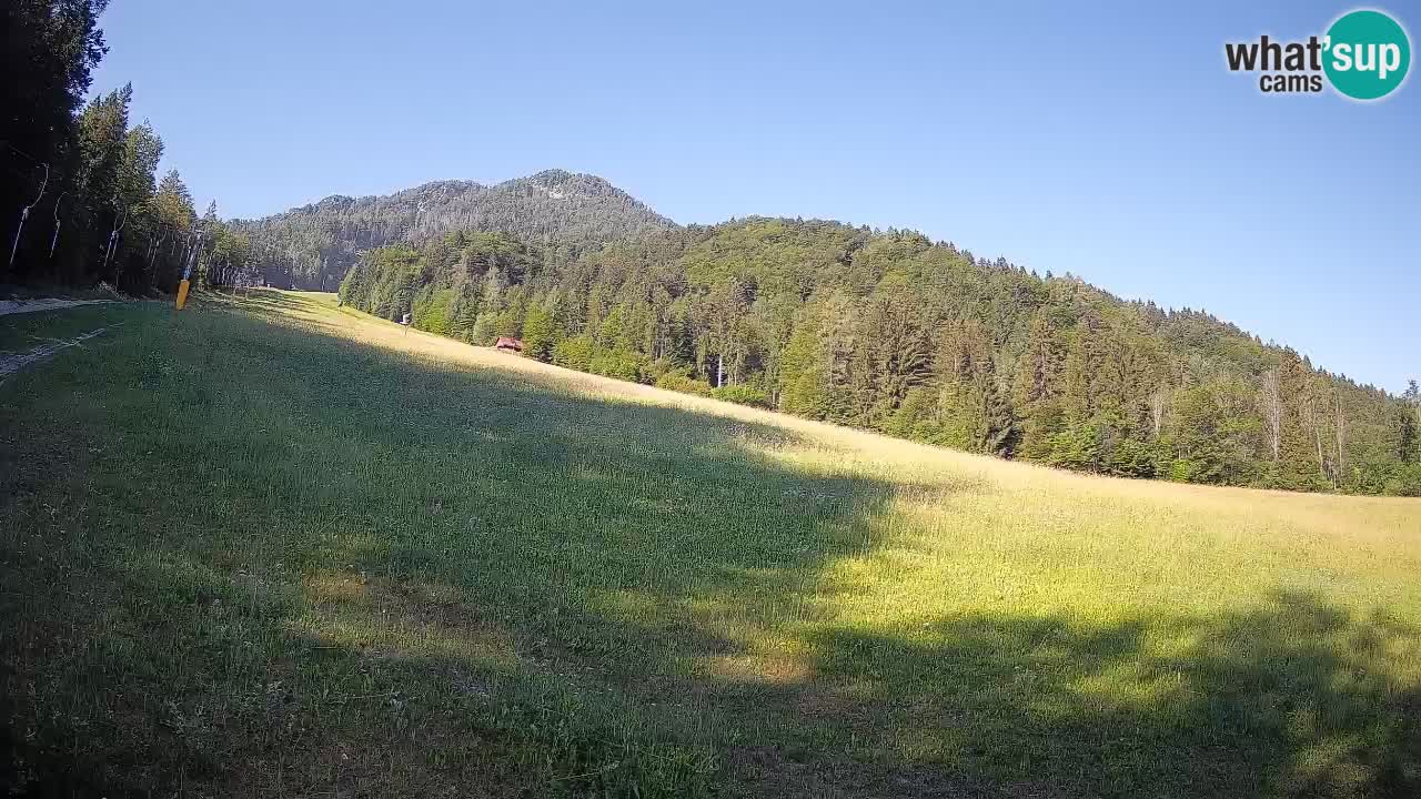 Kranjska Gora Station de ski | Brsnina