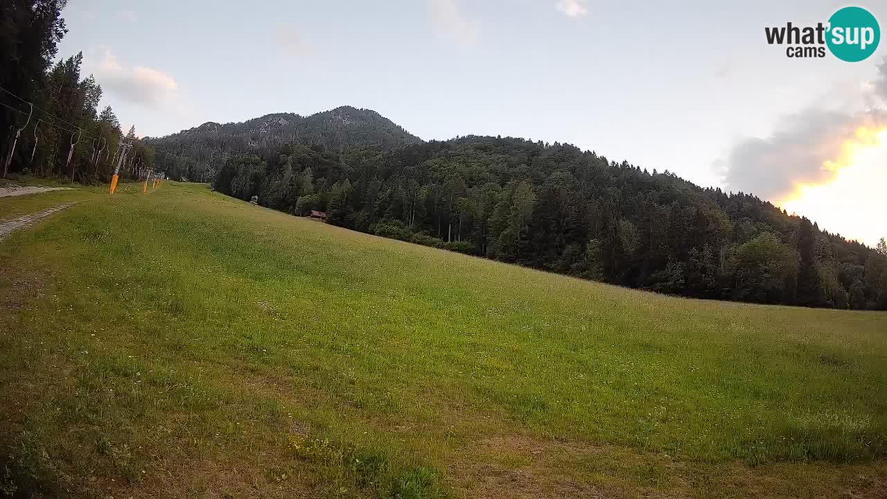 Ski Kranjska Gora | Brsnina