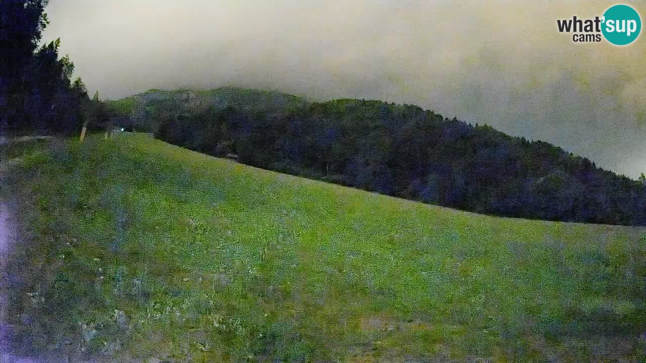 Ski Kranjska Gora | Brsnina