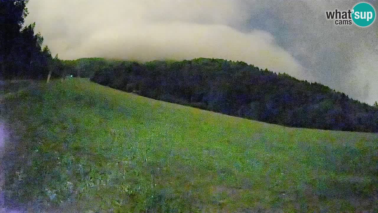RTC Kranjska Gora | Brsnina