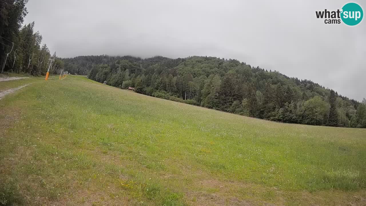 RTC Kranjska Gora | Brsnina