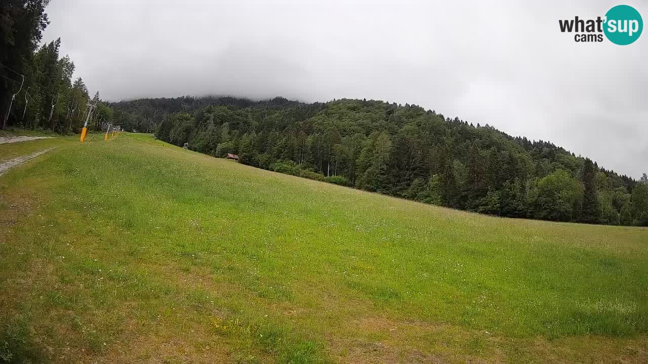 RTC Kranjska Gora | Brsnina