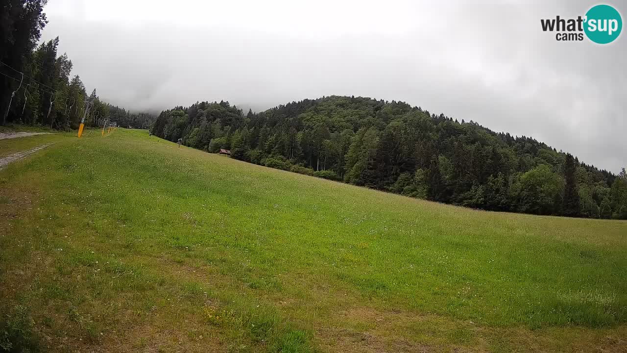 RTC Kranjska Gora | Brsnina