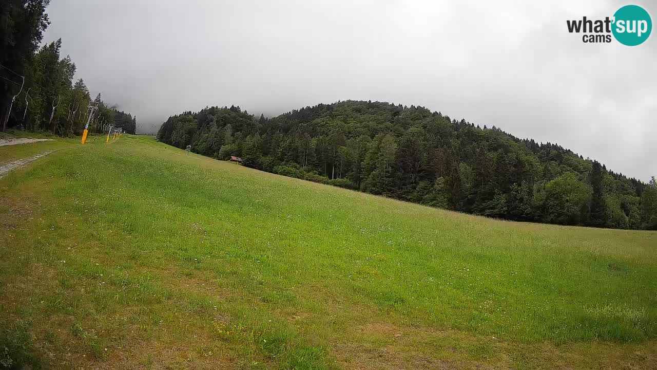 Kranjska Gora SKIJANJE | Brsnina