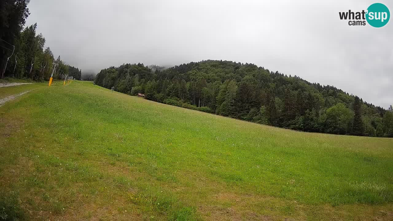 Comprensorio sciistico Kranjska Gora | Brsnina